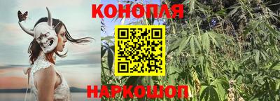 прущие грибы Ипатово