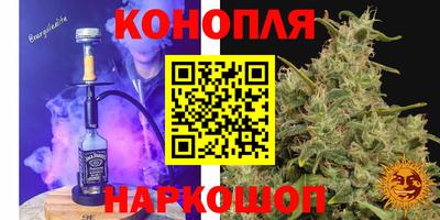 прущие грибы Ипатово